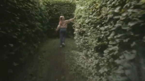 In and Out of the Hornbeam Maze